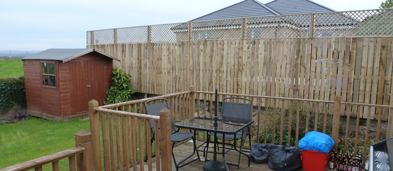 Single Sided Fence with Trellis Top Edinburgh — Custom Timber Fence, Morningside