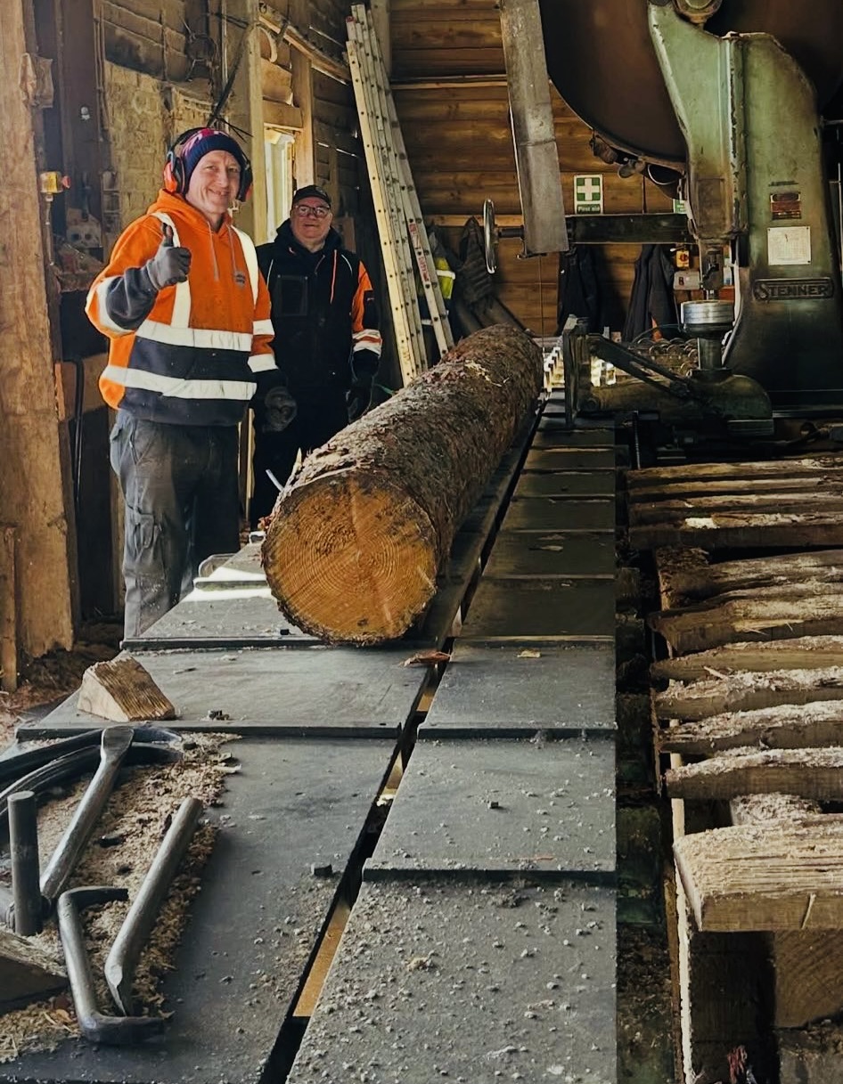 Stacked larch timber